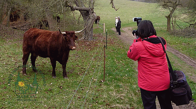 Auge in Auge mit der Presse